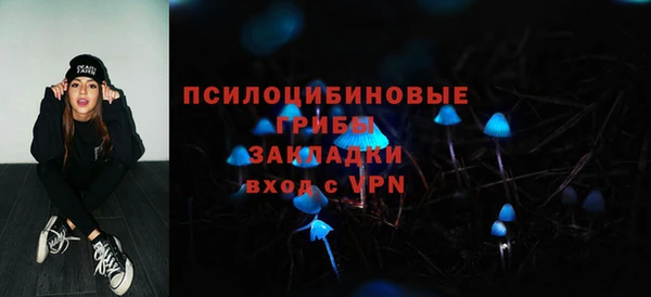 spice Корсаков