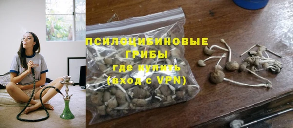 spice Корсаков