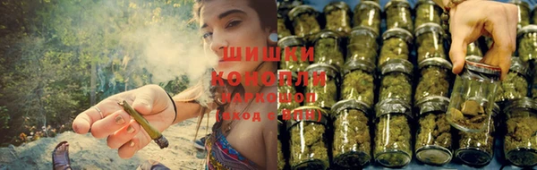 a pvp Коряжма